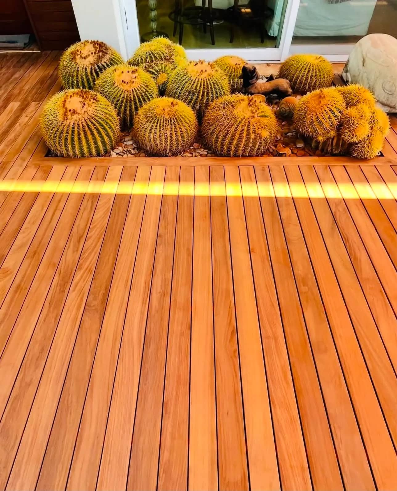 Peyzaj bitkileriyle ahşap deck kenar detayı